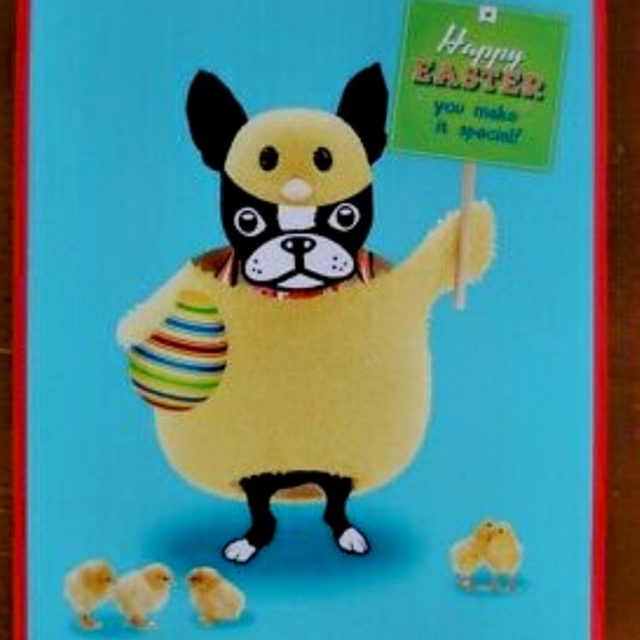 ๐พ ๐ Katie & Iggy - Posh Pups! ๐๐พ - Picture 7 of 12